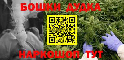 гидра Дубна